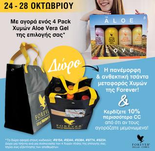 4PACK ALOE BERRY NECTAR